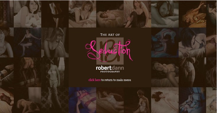 The art oft seduction The art oft seduction